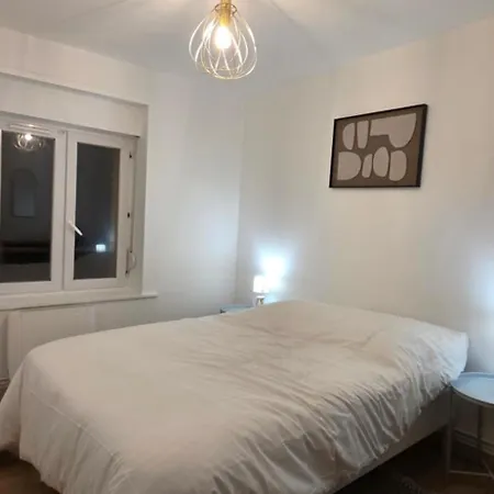 Apartment Ema Centre-ville T2 Renove Cocon Cosy Parking 34m2