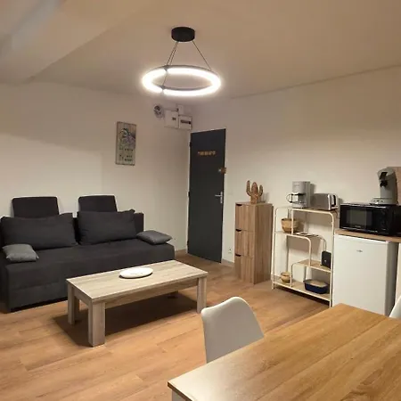 Apartment Ema Centre-ville T2 Renove Cocon Cosy Parking 34m2
