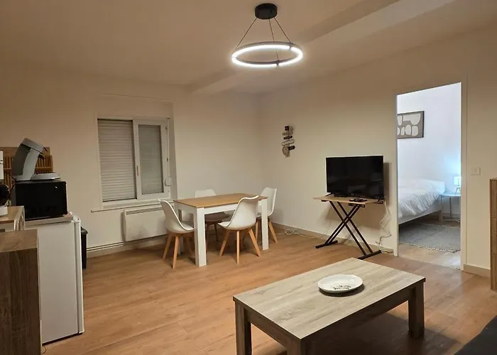 Ema Centre-ville T2 Renove Cocon Cosy Parking 34m2 Lejlighed Charleville-Mézières